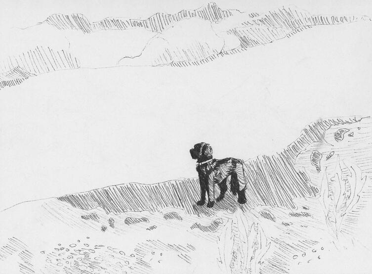 Untitled Untitled